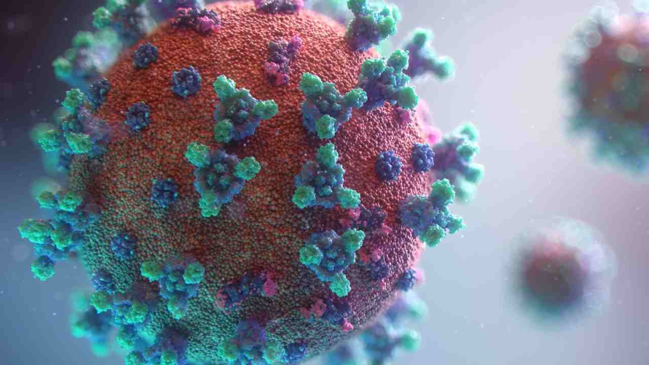 covid-19-coronavirus