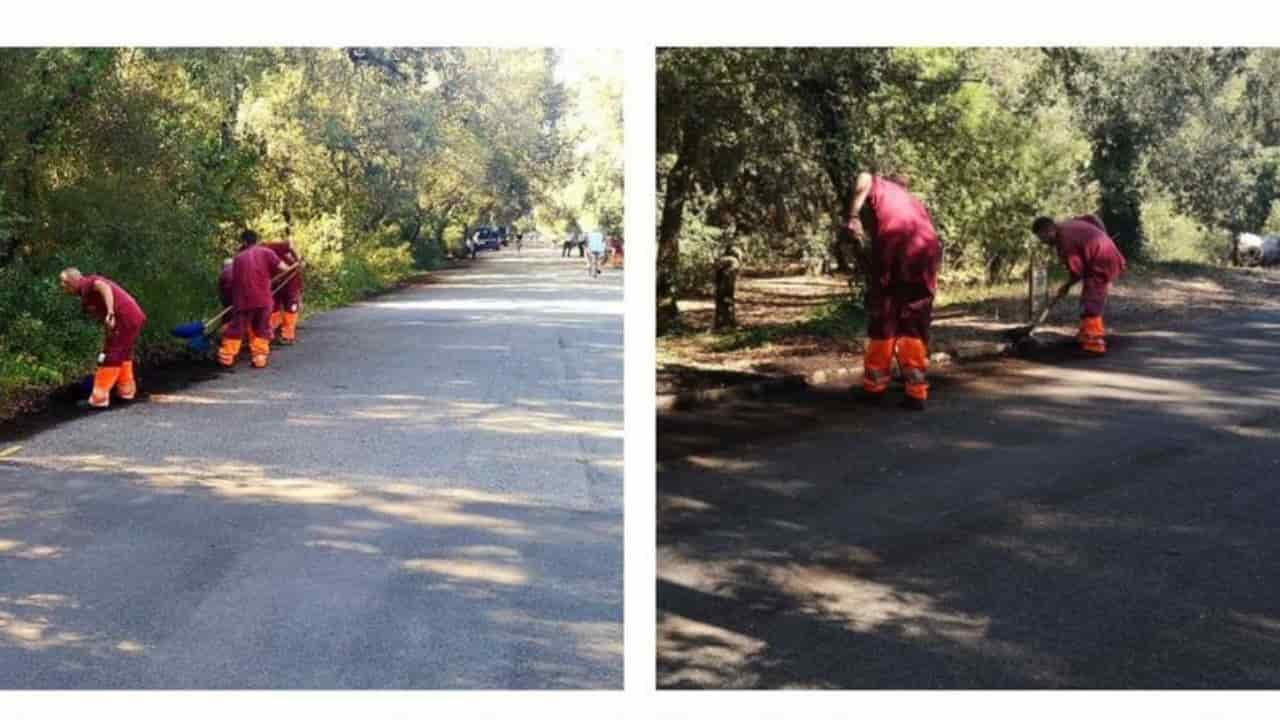 tornano i detenuti giardinieri roma