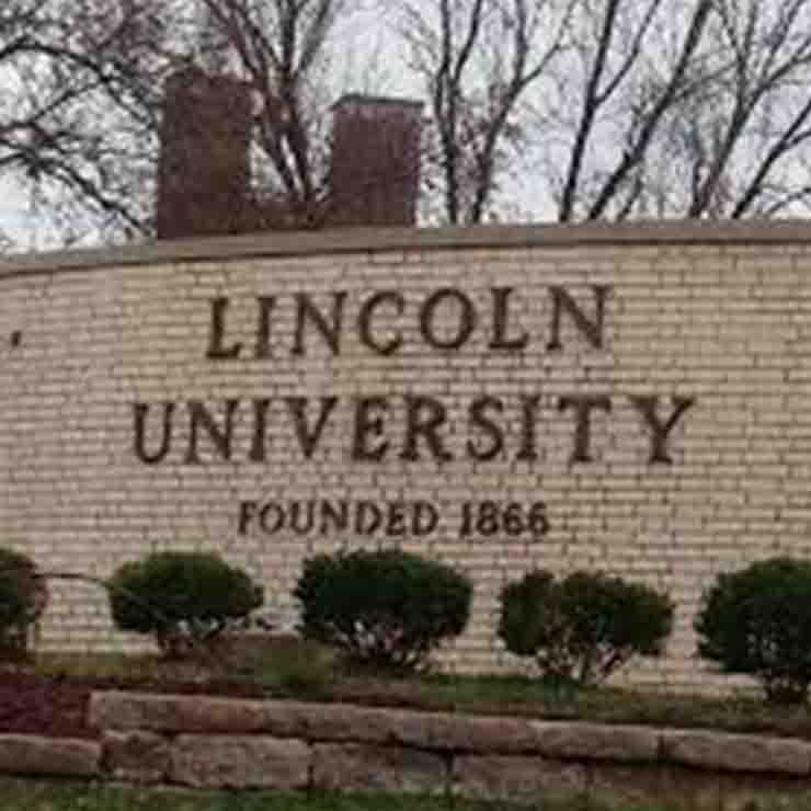 Lincoln University: l’uso eccessivo di gel igienizzante favorisce i superbatteri