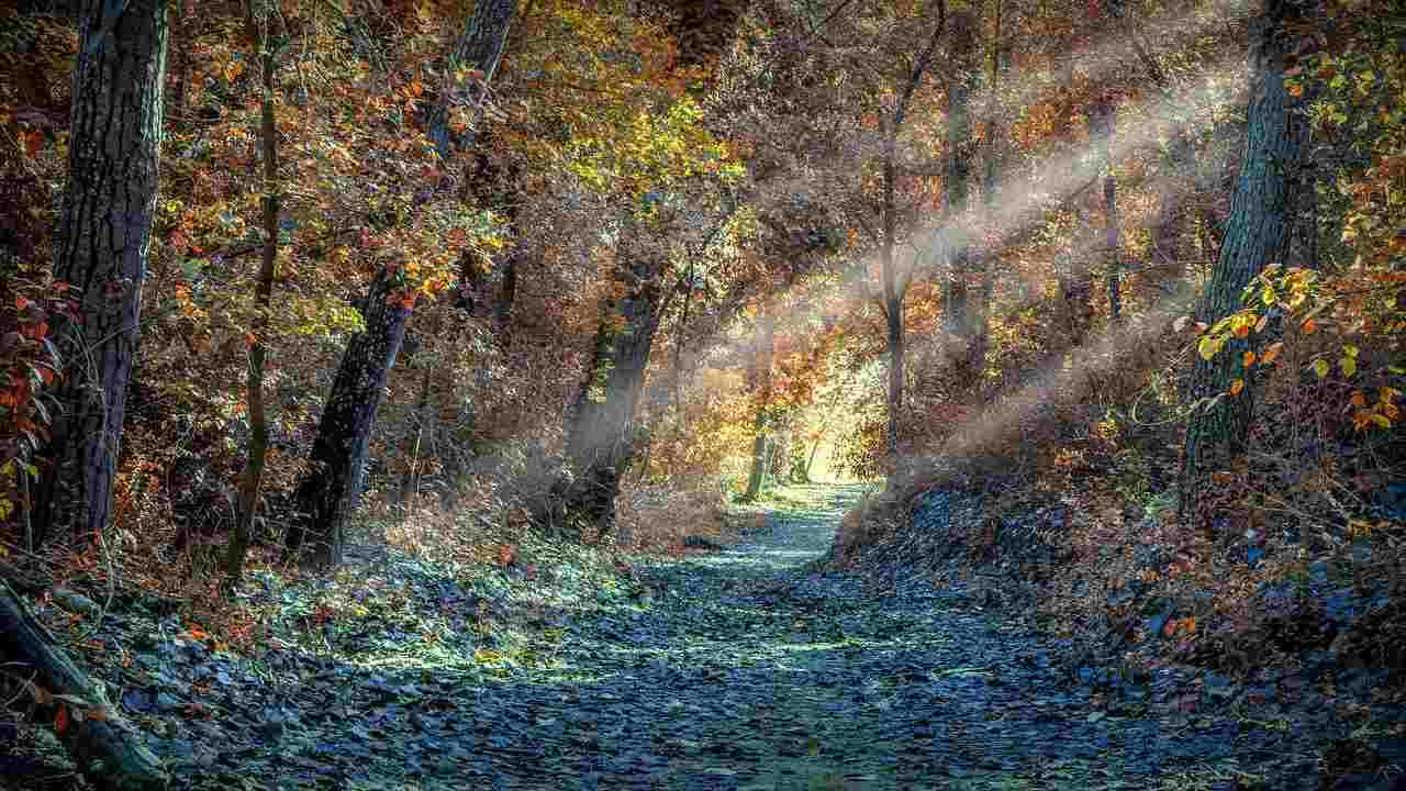 strada che porta a Dio perdono