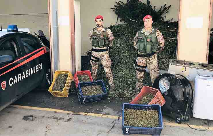 sequestrati 1300 kg di marijuana