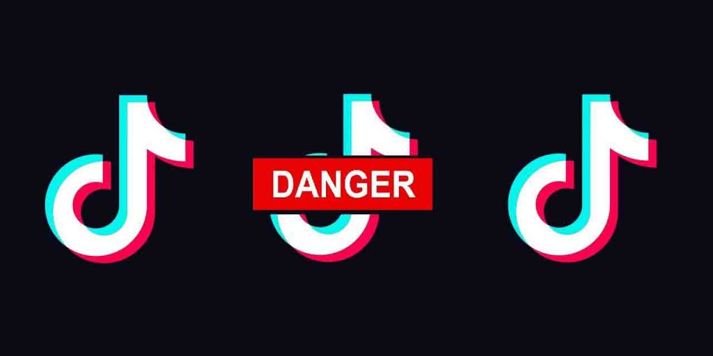 La guerra a TikTok: un altro stato l’ha bandita per contenuti immorali