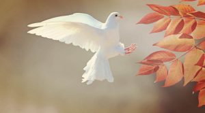 amore resta Spirito Santo