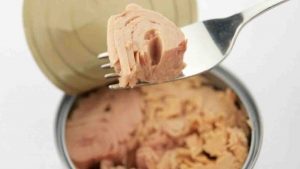richiamo alimentare tonno Porticello