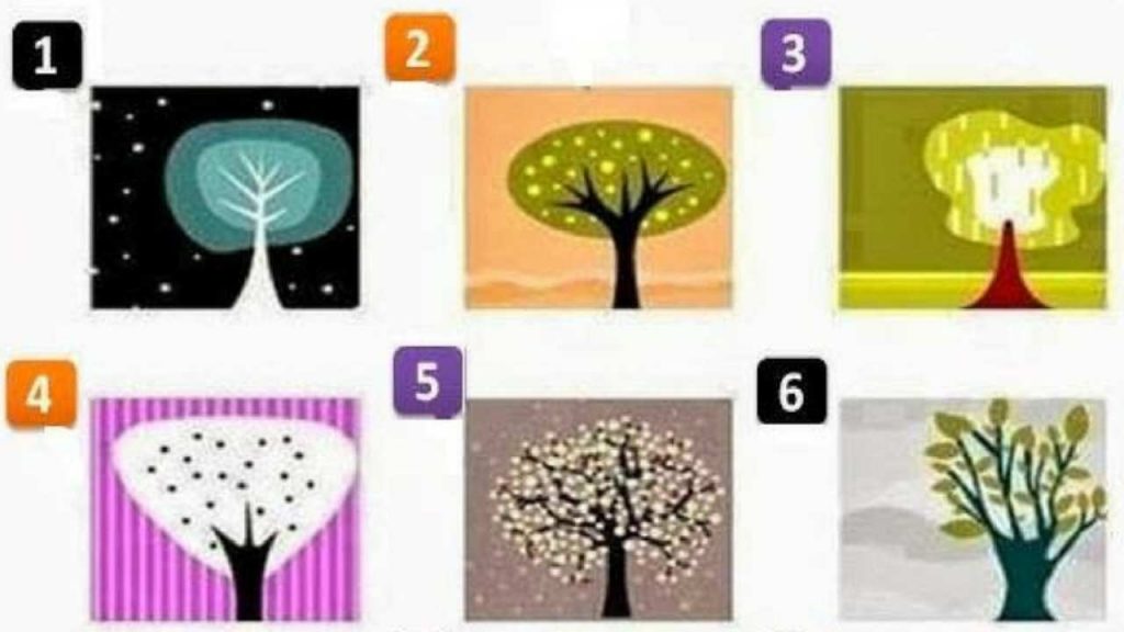 Test di personalità dell’albero | Scopri qualcosa di te che non sapevi