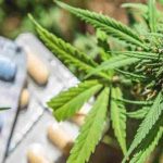 Cannabis: all’interno una sostanza che aiuterebbe a smettere di fumarla Cannabis: all’interno una sostanza che aiuterebbe a smettere di fumarla