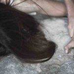 Stupra una ragazza conosciuta sui social: identificato dal nickname Stupra una ragazza conosciuta sui social: identificato dal nickname
