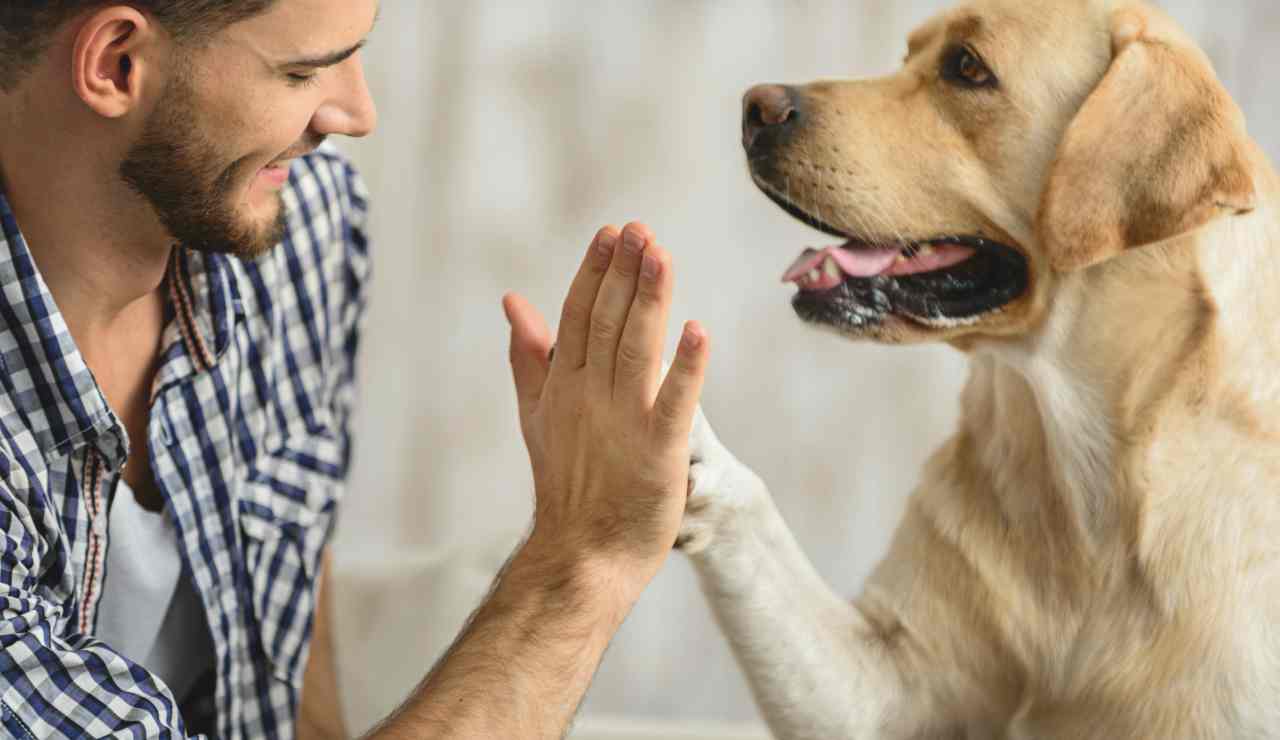 Atteggiamenti da evitare con il cane-Meteoweek.com