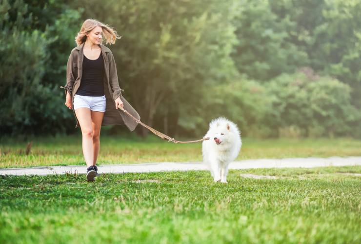 Cane- Consigli per una buona passeggiata-Meteoweek-com