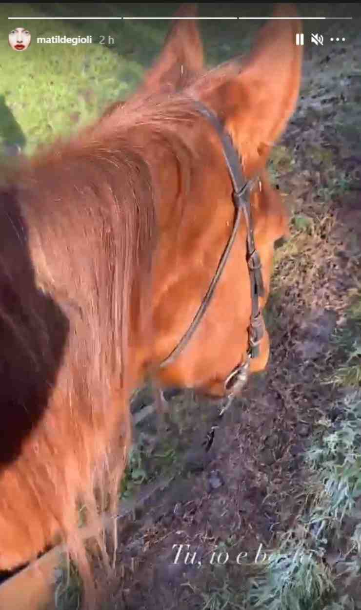 Matilde ed il suo cavallo - Fonte Instagram
