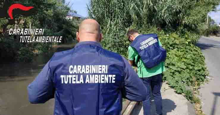 L'operazione è stata condotta dai carabinieri per la Tutela Ambientale