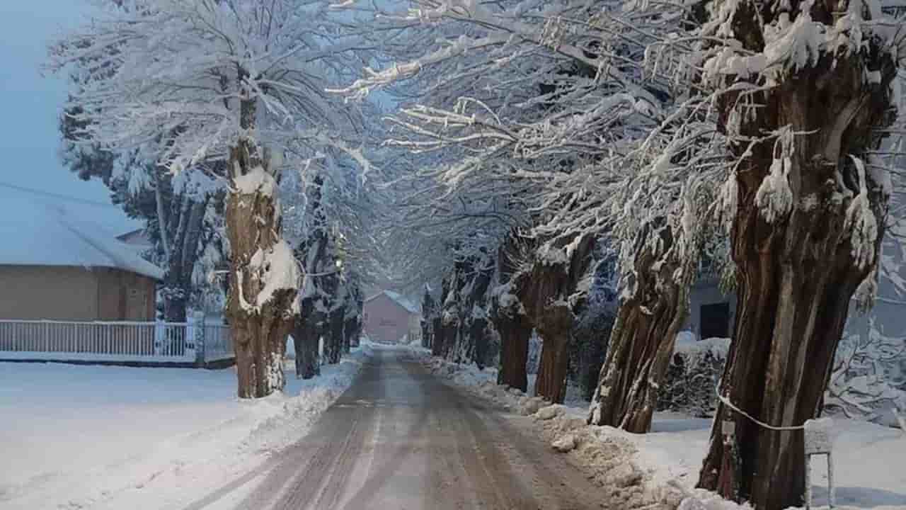 freddo allerta gialla piemonte