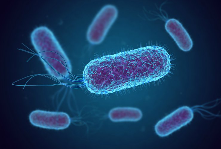 Escherichia Coli nell'acqua servita sui voli-Meteoweek.com