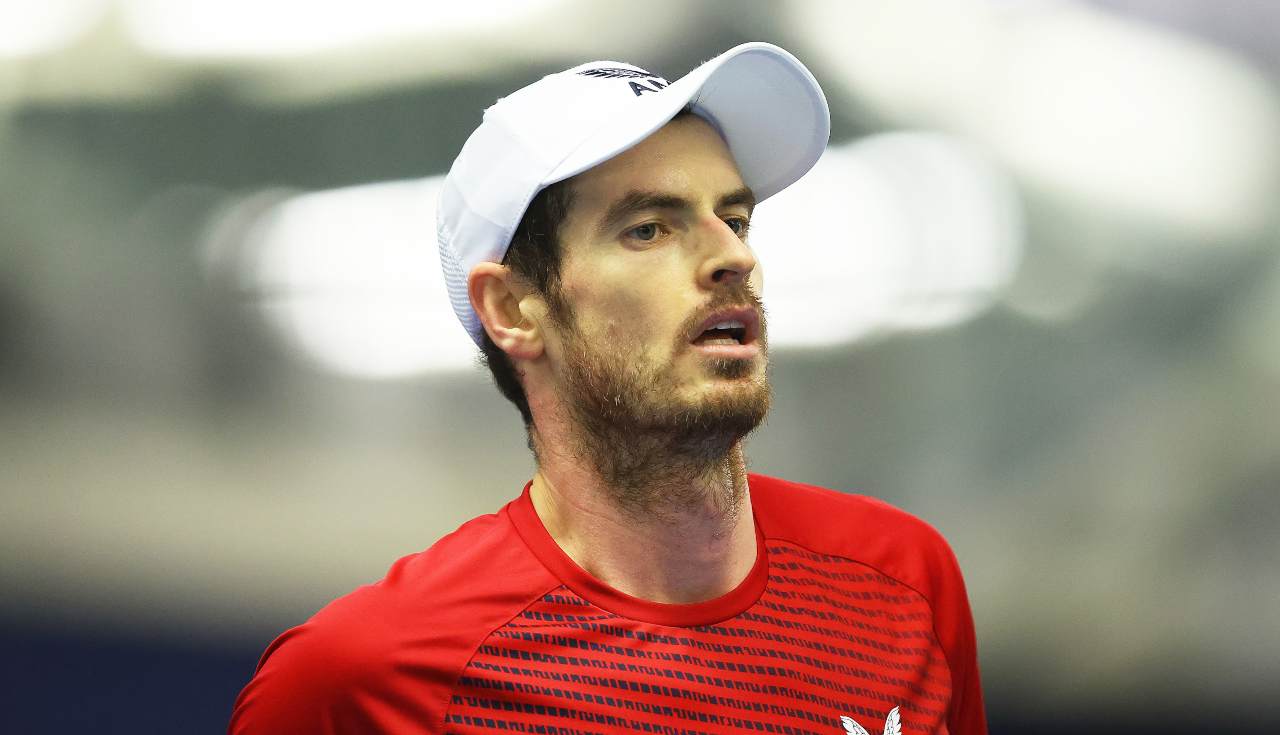 andy murray