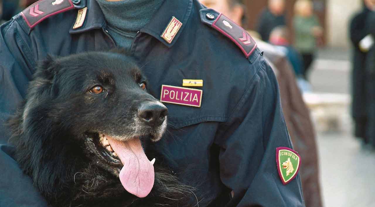 Droga a Roma: in 7 giorni arrestati 15 pusher e sequestrati oltre 3mila euro