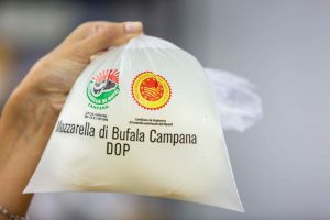 Falsa mozzarella di bufala campana Dop, denunciato caseificio spagnolo