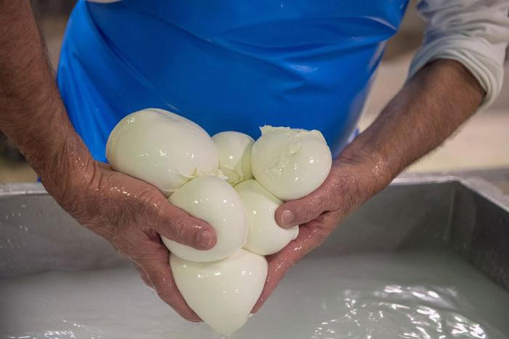 Falsa mozzarella di bufala campana Dop, denunciato caseificio spagnolo