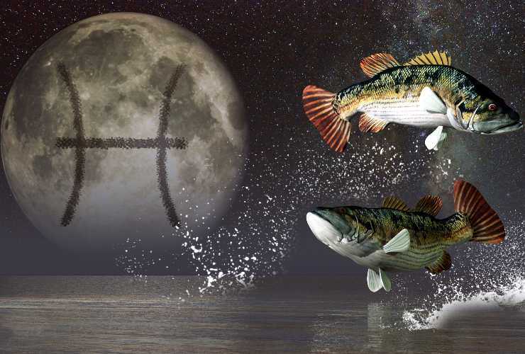 oroscopo pesci dal 1 al 7 febbraio 2021- Meteoweek.com