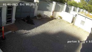 La morte di Luca Ventre nei filmati dell'ambasciata in Uruguay [VIDEO]