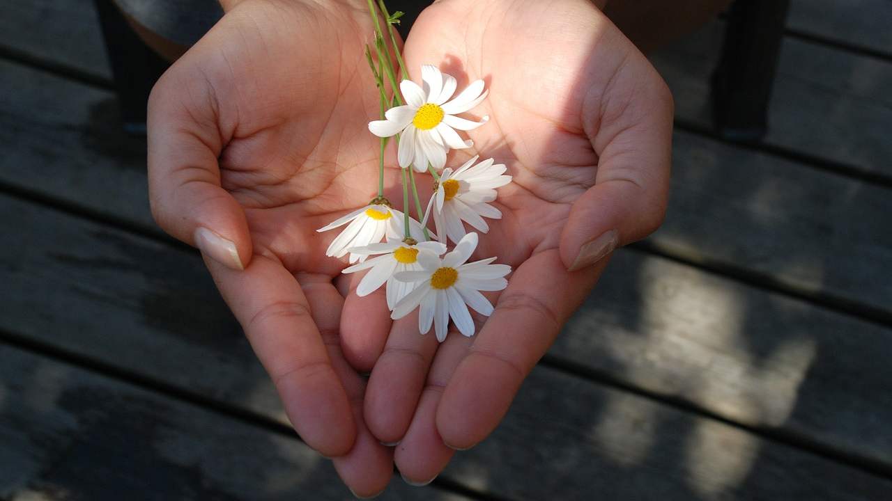 Mani fiori