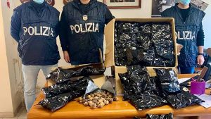 Droga Bulbi Papavero