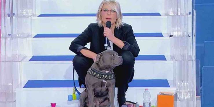 Maria e il cane Saki a Uomini e Donne - meteoweek