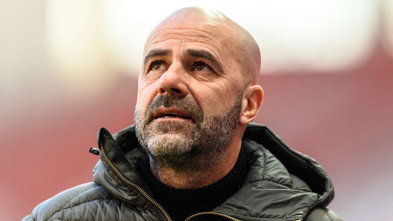 bosz bayer leverkusen 