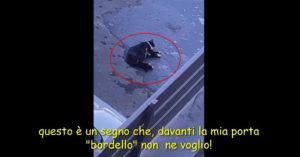 Mafia, decapitato il clan Cappello-Bonaccorsi. Agli atti un video choc