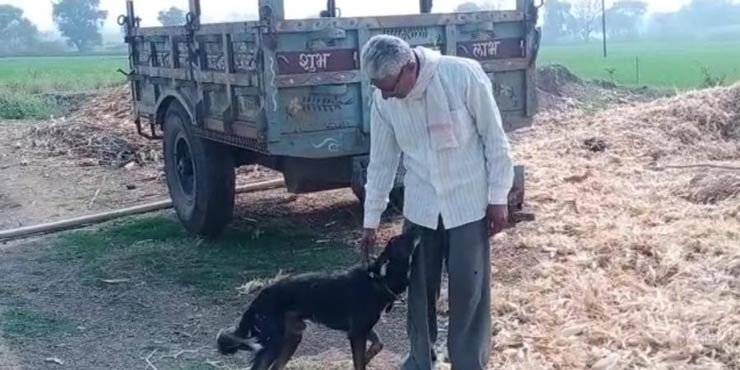 Lascia tutto in eredità al cane: «I miei figli mi hanno deluso»