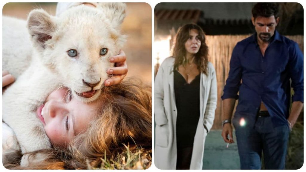 Ascolti tv mercoledì 24 marzo: sfida all’ultimo spettatore tra Rai 1 e Canale 5