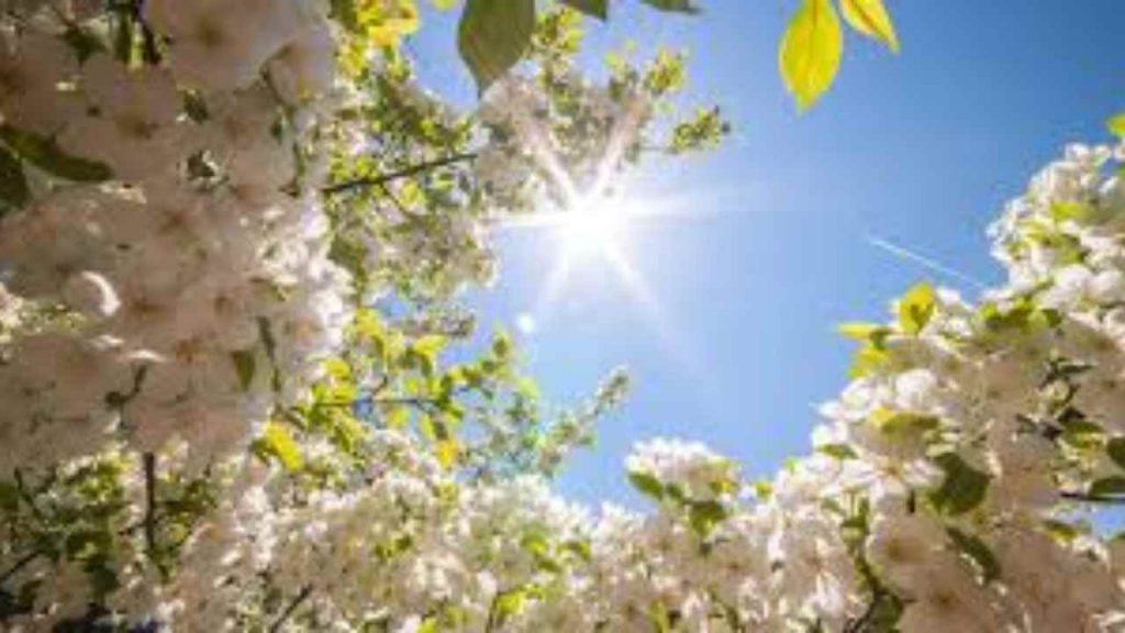 Meteo Italia, ecco le previsioni dal 5 aprile al 2 maggio 2021