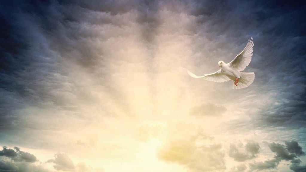 La forza che ci viene da Dio | Il Vangelo di oggi Domenica 23 Maggio 2021
