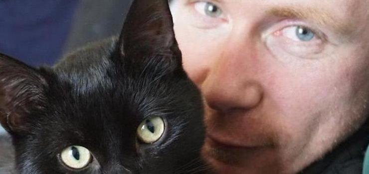 Accoltella 16 gatti e ne uccide 9: 54enne condannato a cinque anni