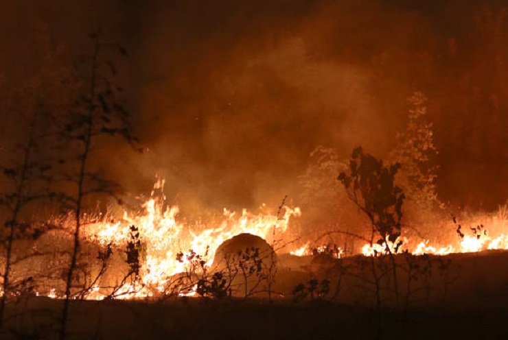 incendi macedonia del nord