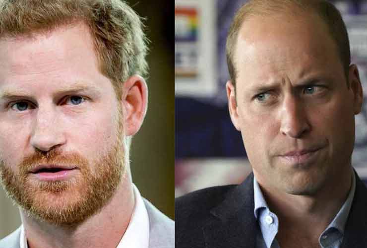 Harry e William