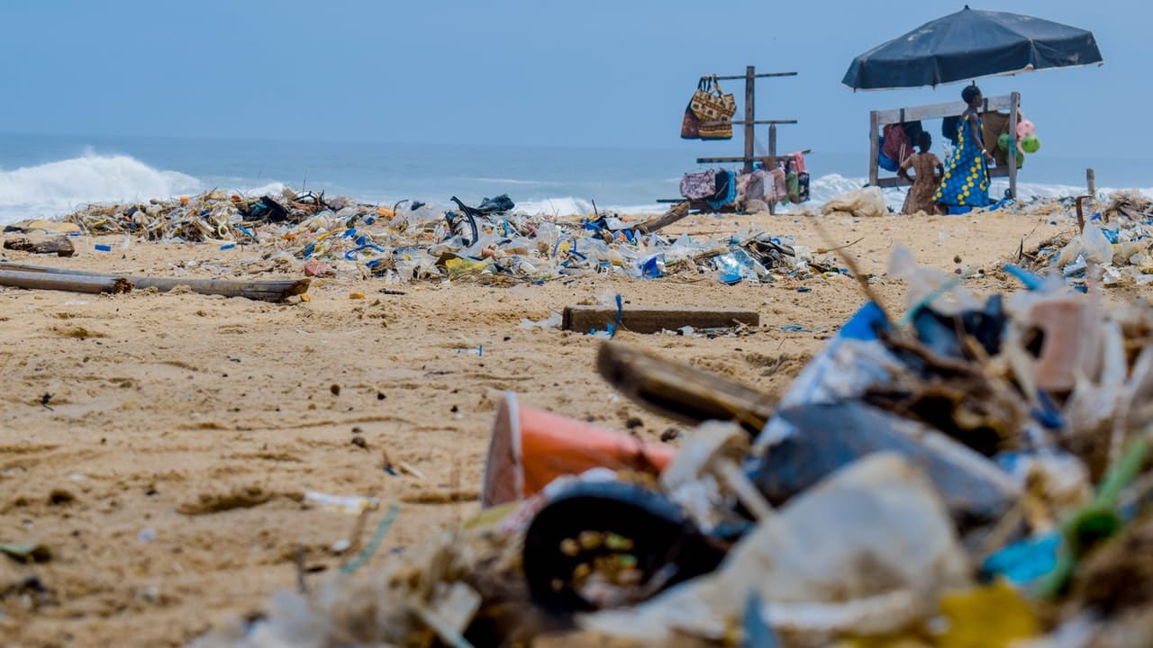 Ecomafie, per il rapporto di Legambiente il lockdown non ha fermato i reati 1280 - meteoweek.com