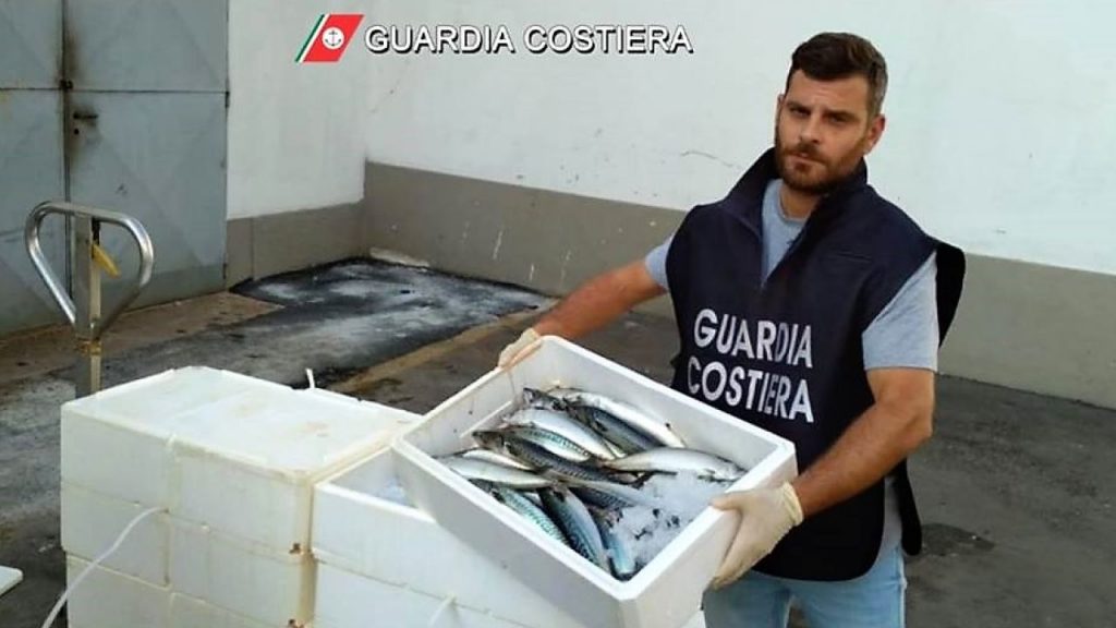 Maxi sequestro di pesce irregolare, denunce dalla Guardia Costiera