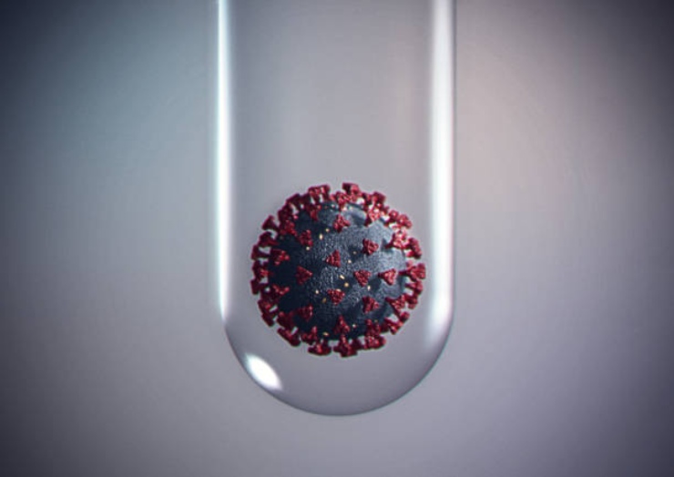 Bollettino coronavirus 12 dicembre, i primi dati: l’aggiornamento dopo le 17
