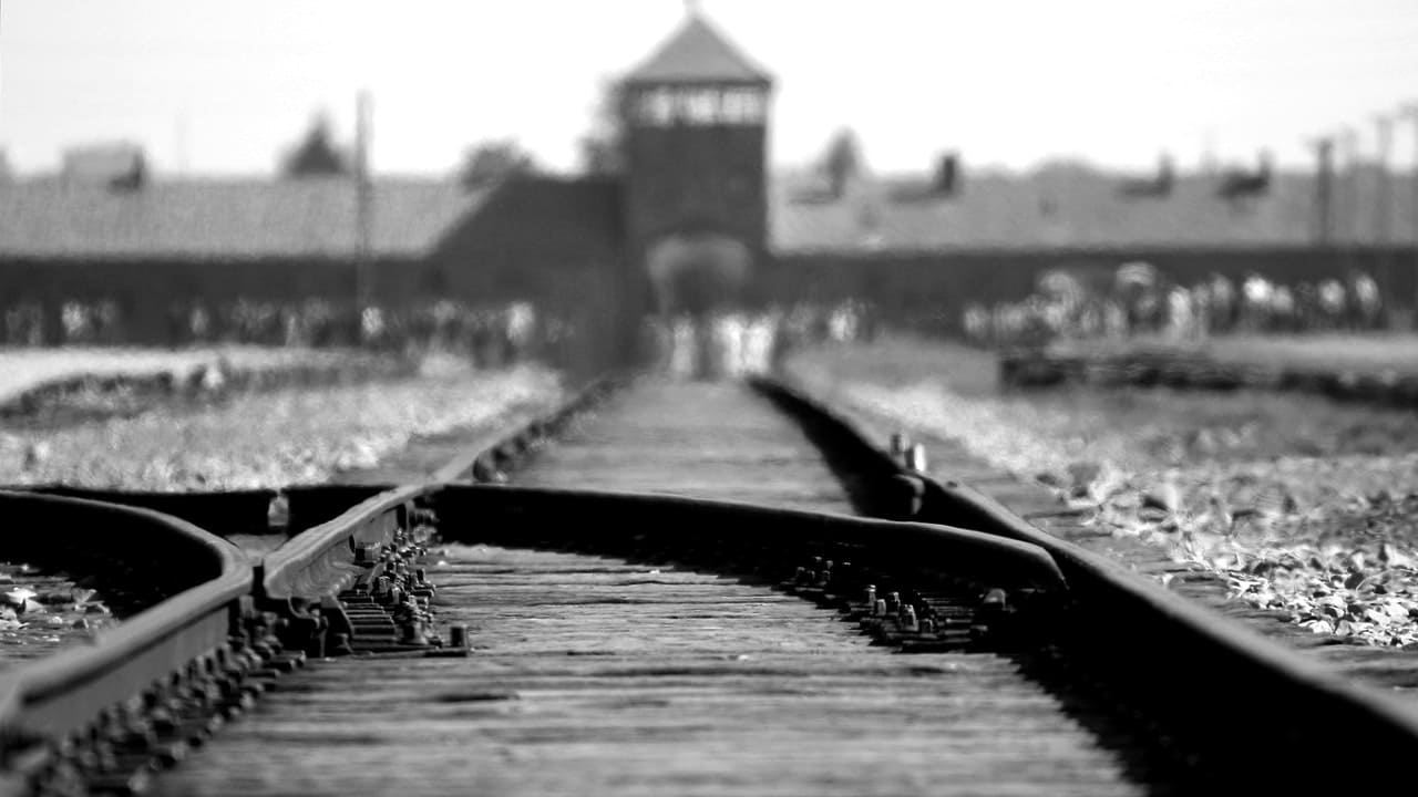 Funzionario licenziato dopo aver definito stupida la legge sull'Olocausto 10.01.22 1280p - meteoweek.com