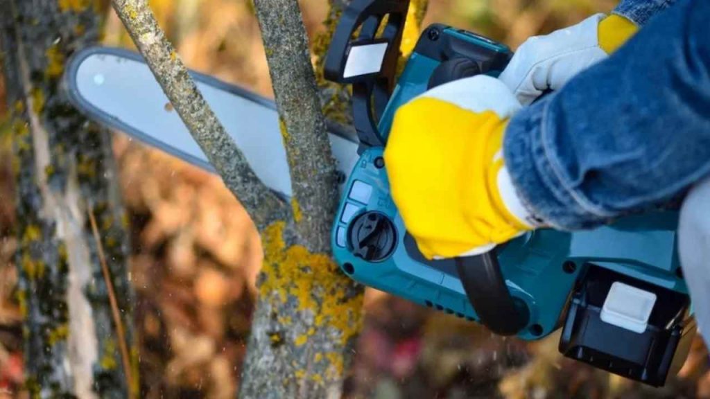 Pensionato intento a tagliare la legna resta decapitato dalla motosega
