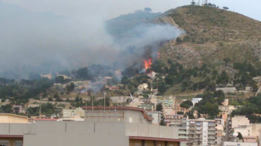 Vasto incendio ad Erice: evacuate alcune case minacciate dal rogo