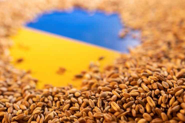 Ucraina, Coldiretti lancia l’allarme: con porti chiusi dimezzato export grano e mais