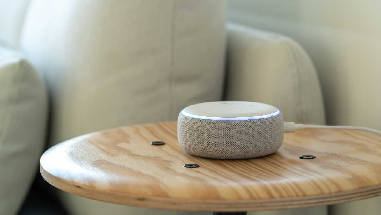 Alexa risponde a queste 12 domande che quasi nessuno conosce: le hai mai provate?