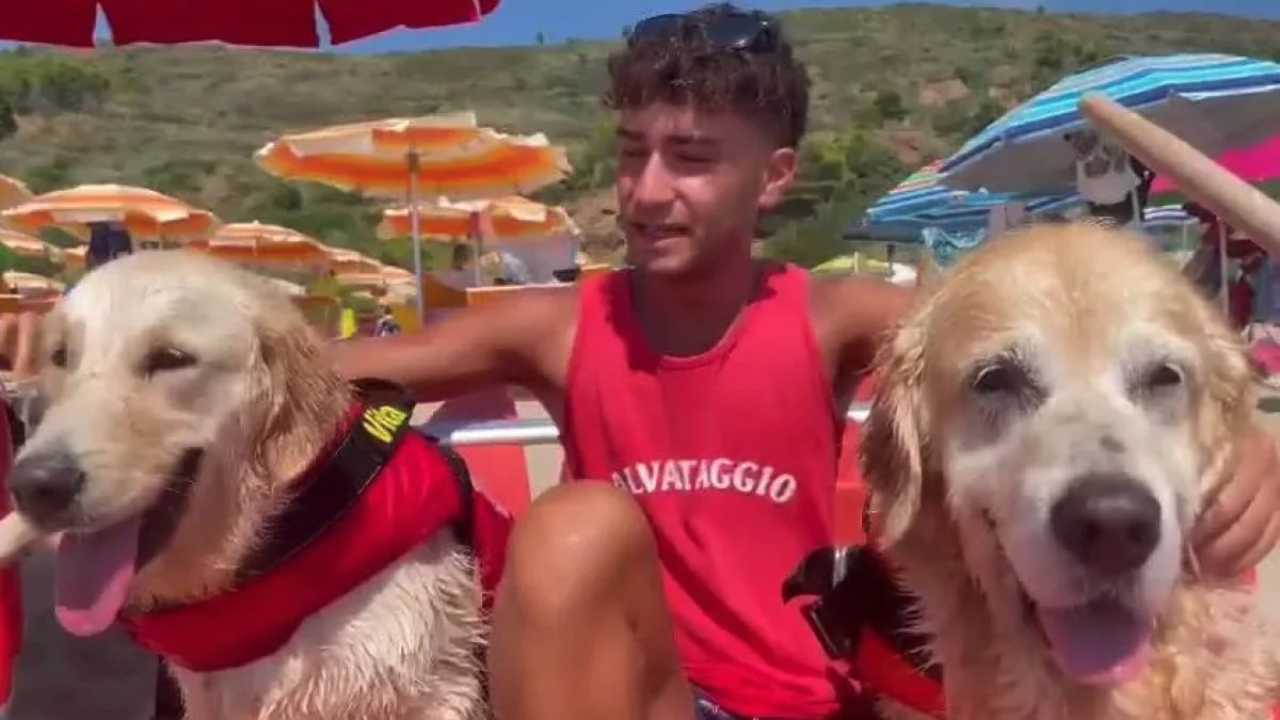 Cinque ragazzi salvati a Palinuro da cani bagnino
