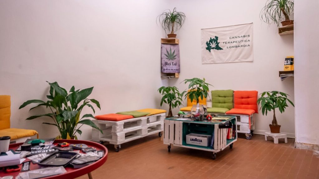 Cannabis terapeutica, poste sotto sequestro a Milano 34 piante nel circolo ispirato a Pannella