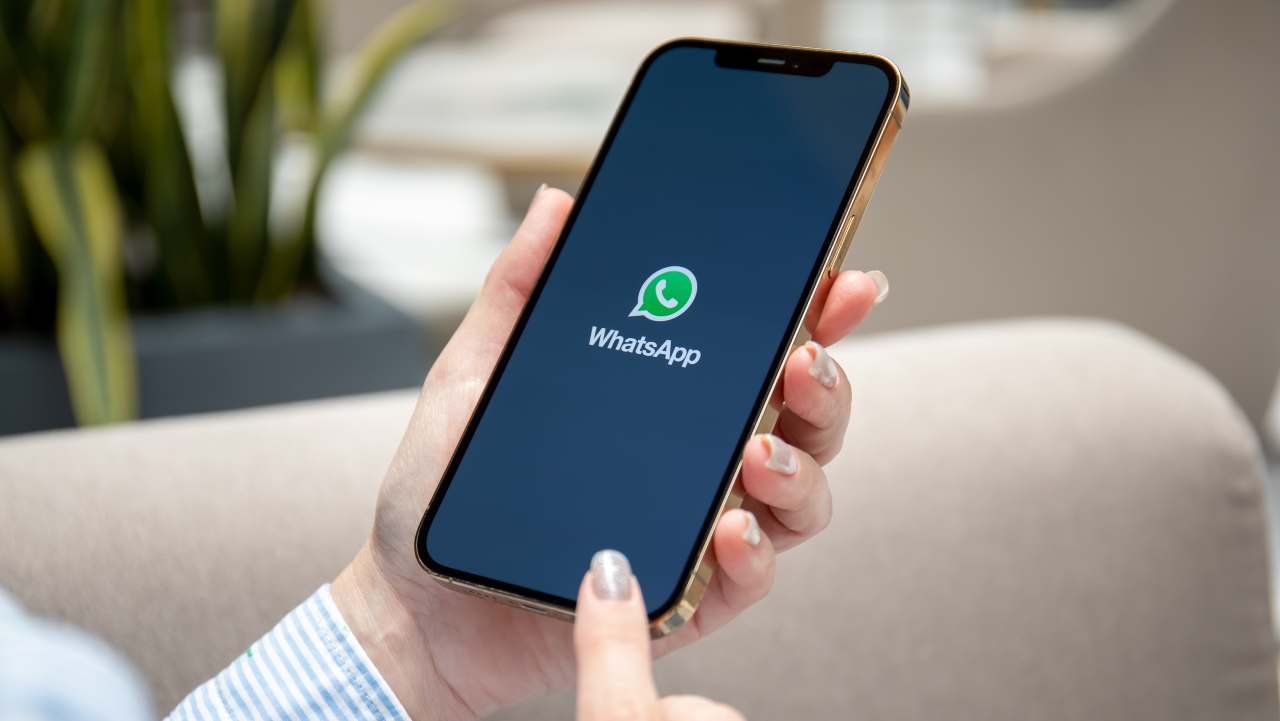WhatsApp mette finalmente armonia tra iOS e Android: ora tutti liberi di scegliere