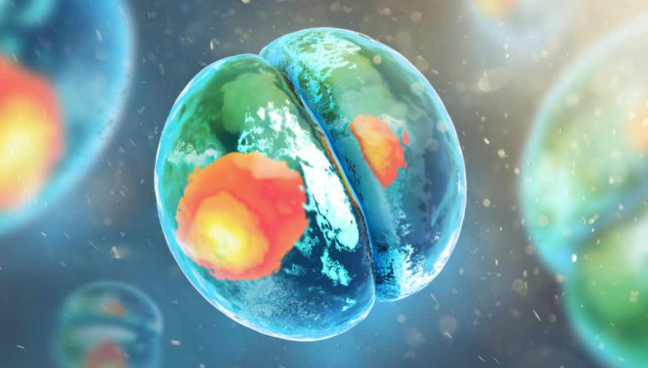 Embrioni umani come nostri futuri pezzi di ricambio: ecco il progetto fantascientifico di Israele