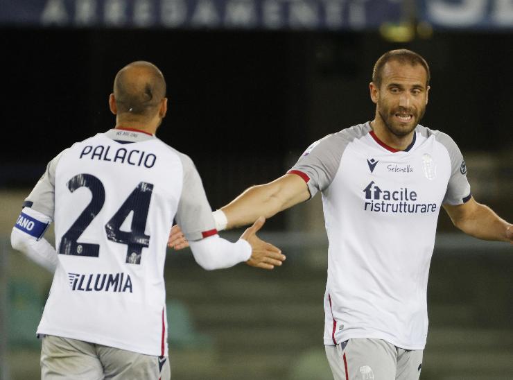 Rodrigo Palacio Bologna