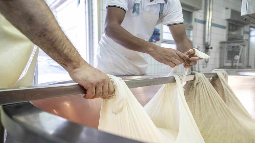 Latte e formaggi, il caro bollette mette a rischio anche una eccellenza italiana