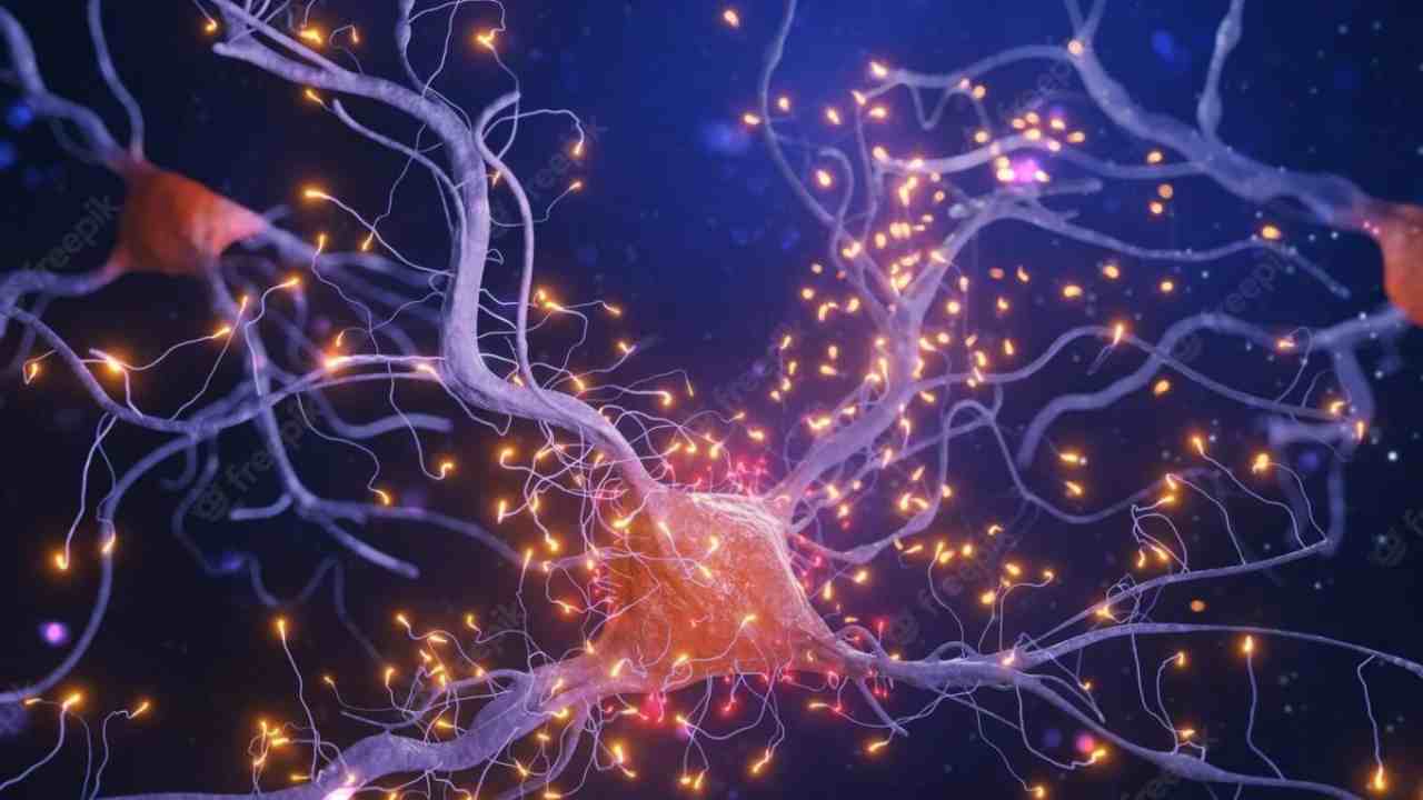 Cellule neurali che giocano a Pong: l'ultimo traguardo della Scienza che diverte e stupisce